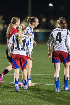 Bild 388 - wBJ Hamburger SV - Eimsbuettler TV 2 : Ergebnis: 16:0